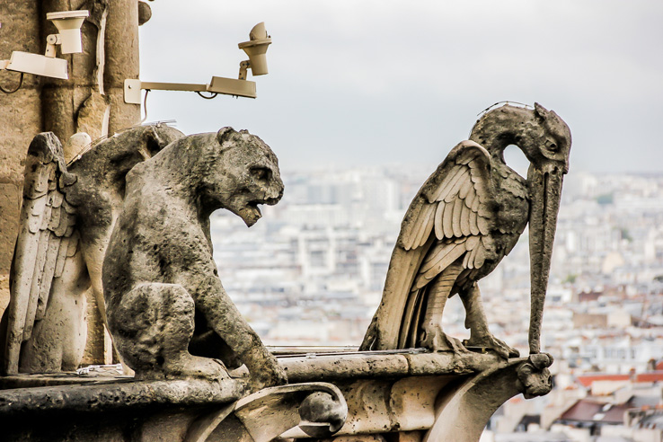 Why did they name it Gargoyles?